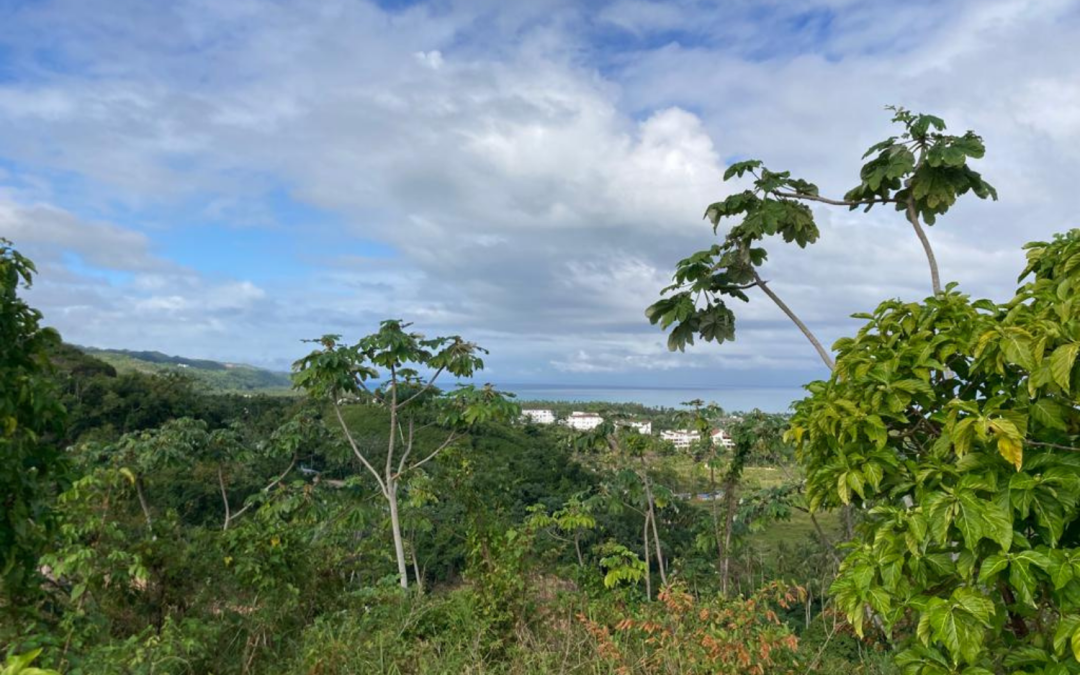 Ocean view land for sale