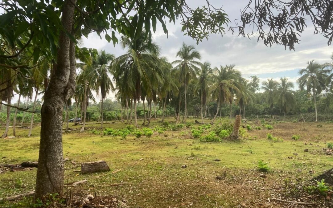 Terreno en Venta