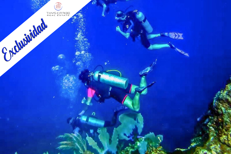 Centro de buceo en venta : Las Galeras Divers