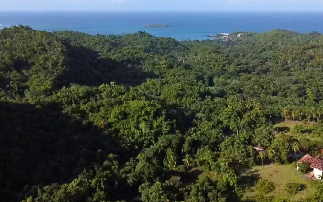 Terreno con vista a la Playa Morón, Las Terrenas