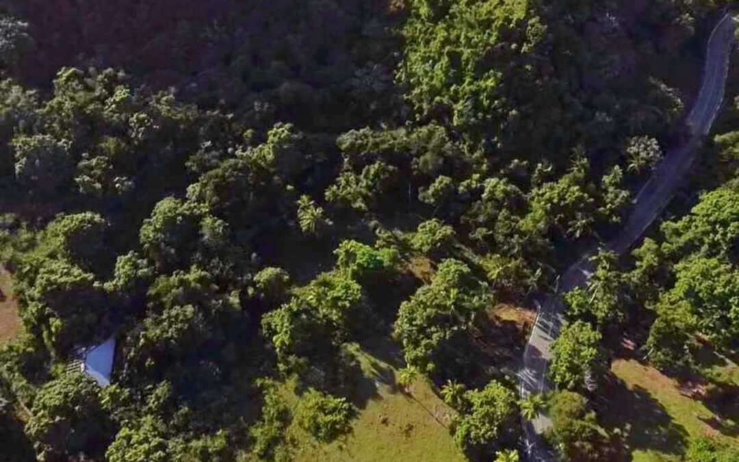 Terreno en venta Playa Morón, Las Terrenas