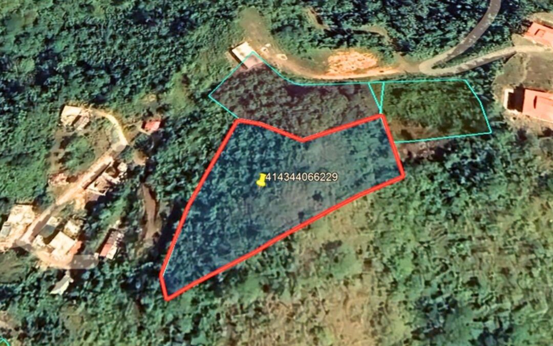 Land for Sale, Las Terrenas